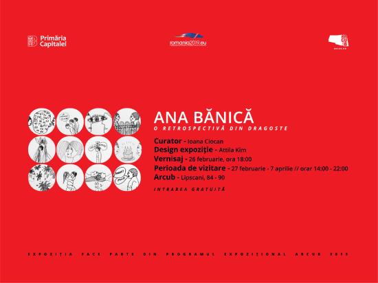 Ana Banica_declinari_IMG_ART_720x540_rsz