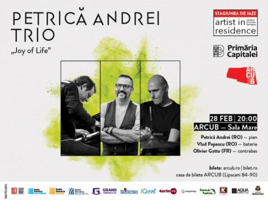 Petrica Andrei Trio 28 feb_rsz