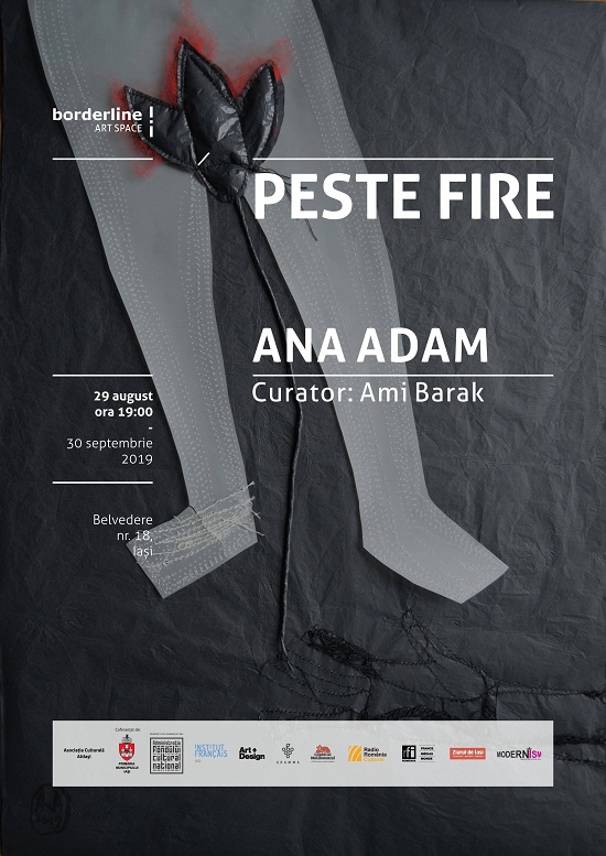 afis expozitie ana adam borderline art space